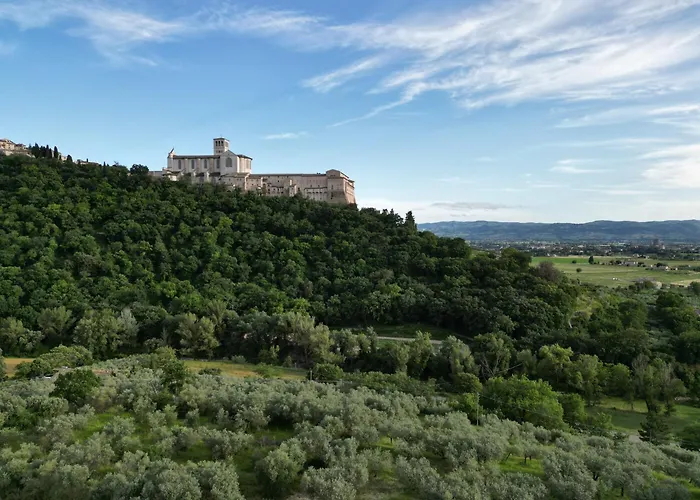 Bed and Breakfast La Casa Tra Gli Ulivi Assisi